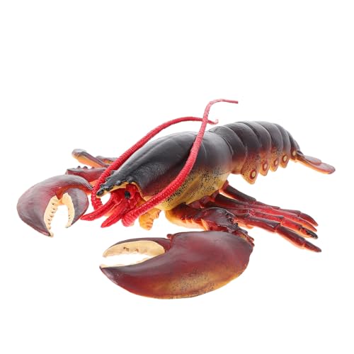 Supvox Realistisches Hummer Modell Pädagogisch Lebensecht Meeres Tierfigur für Wissenschaftliches Lernspielzeug Ab Jahren als Dekoration und Kognitive von Supvox