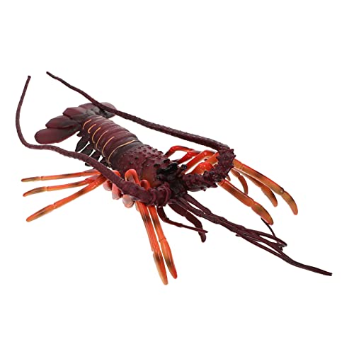 Supvox Realistisches Hummer Modell aus Kunststoff Lebensechte Meeresbewohner Figur Pädagogisches Kinderspielzeug zur Naturerforschung Dekoratives Lobster Modell für Lernzwecke Supvox Realistisches Hummer Modell aus Kunststoff Lebensechte Meeresbewohner Figur Pädagogisches Kinderspielzeug zur Naturerforschung Dekoratives Lobster Modell für Lernzwecke von Supvox
