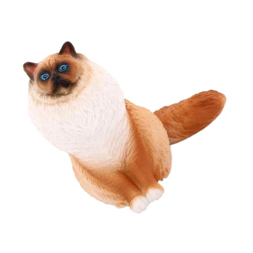 Supvox Realistisches Katzenmodell aus Robustem Kunststoff Lebensechte Mini tierskulptur für Pädagogisches und Dekorative Katzenfigur für Zuhause und Spielspaß Supvox Realistisches Katzenmodell aus Robustem Kunststoff Lebensechte Mini tierskulptur für Pädagogisches und Dekorative Katzenfigur für Zuhause und Spielspaß von Supvox
