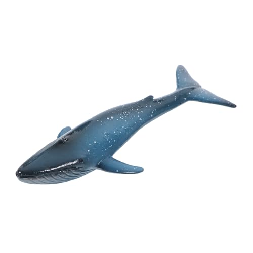 Supvox Realistisches Kleines Blauwalmodell aus Detailgetreues Meerestier Pädagogisches Tiermodell für Kreative Lernspiele und Fantasievolles Supvox Realistisches Kleines Blauwalmodell aus Detailgetreues Meerestier Pädagogisches Tiermodell für Kreative Lernspiele und Fantasievolles von Supvox