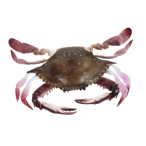 Supvox Realistisches Krebs aus PVC Dekoratives Meereslebewesen Modell Lustiges Lernspielzeug für Aquarium Dekoration und von Supvox