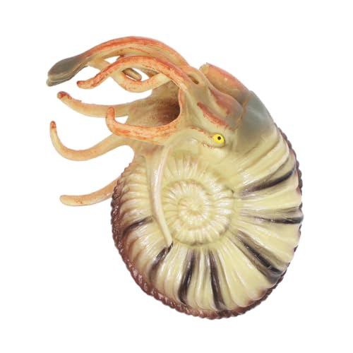 Supvox Realistisches Nautilus Modell aus Sicherem Kunststoff Detailgetreue Meereslebewesen Figur für Aquarium Fischbecken Dekoration Langlebiges Tier Ornament Kindgerechtes Lernspielzeug von Supvox