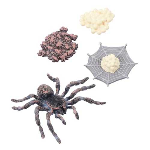 Supvox Realistisches Tierfiguren Set aus Hochwertigem Kunststoff Pädagogisches Ab Jahren Lebenszyklusorientierte Lernmodelle für Vielseitig als Garten und Unterrichtsdekoration Geeignet Supvox Realistisches Tierfiguren Set aus Hochwertigem Kunststoff Pädagogisches Ab Jahren Lebenszyklusorientierte Lernmodelle für Vielseitig als Garten und Unterrichtsdekoration Geeignet von Supvox