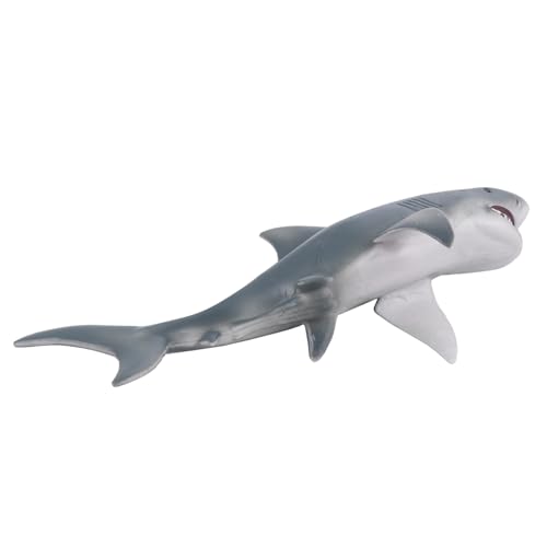 Supvox Realistisches Weißer Fisch Modellspielzeug Simulation Meerestier Figur Pädagogisch Kreativitätsfördernd Meeres Themenparty Dekoration von Supvox