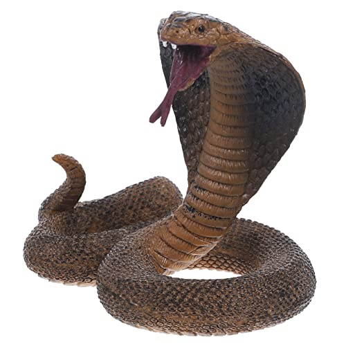 Supvox Reptilienmodell Figur Aus Kunststoff Realistisches Schlangen Für Kinderzimmer Dekoration Und Pädagogisches Tiererkennung Supvox Reptilienmodell Figur Aus Kunststoff Realistisches Schlangen Für Kinderzimmer Dekoration Und Pädagogisches Tiererkennung von Supvox