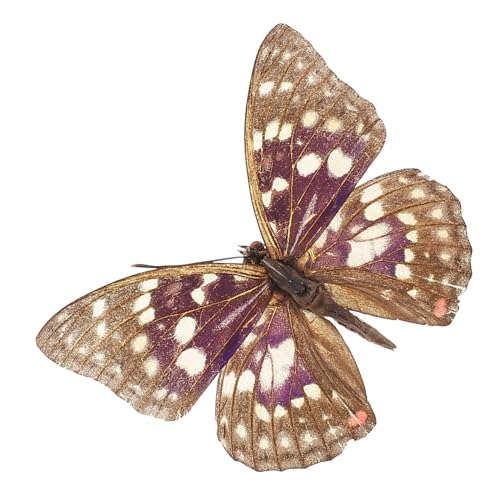 Supvox Schmetterlings-Exemplar Schmetterling Wandkunst Schmetterlingsform Ausgestopfte Tiere Gerahmter Schmetterling Schmetterlingspräparate Kleine Schmetterlinge Zum Basteln Supvox Schmetterlings-Exemplar Schmetterling Wandkunst Schmetterlingsform Ausgestopfte Tiere Gerahmter Schmetterling Schmetterlingspräparate Kleine Schmetterlinge Zum Basteln von Supvox