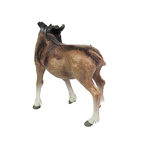 Supvox Simulation Figurine Realistische Tierfigur Lifelike Modell für Lernspielzeug und Wohnaccessoires Dekoration für Zuhause Büro und Geschäfte Supvox Simulation Figurine Realistische Tierfigur Lifelike Modell für Lernspielzeug und Wohnaccessoires Dekoration für Zuhause Büro und Geschäfte von Supvox