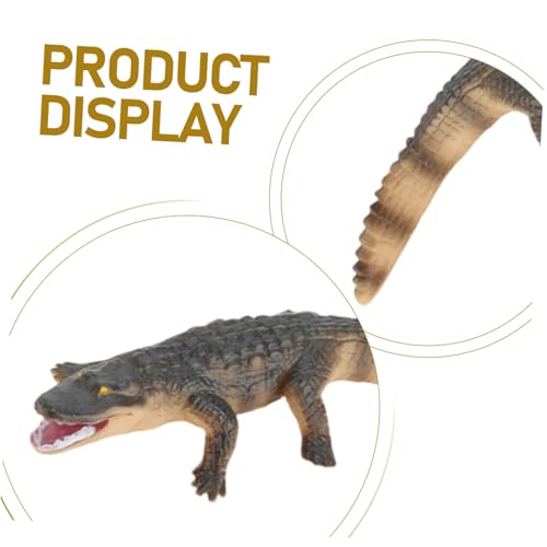 Supvox Simulation Modell Krokodil Wachstumszyklus Lernspielzeug für Pädagogisches Kunststoff Tiermodell Kreativität und Tiererkennung Sicheres für Jungen und Mädchen Ab Jahren von Supvox