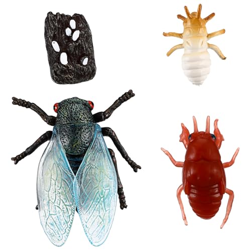 Supvox Simulation Zikaden Lebenszyklus Figurenset Pädagogisches Lernspielzeug für Vorschulkinder Realistische Insektenmodelle mit Feiner Verarbeitung Langlebig und Kindersicher für von Supvox