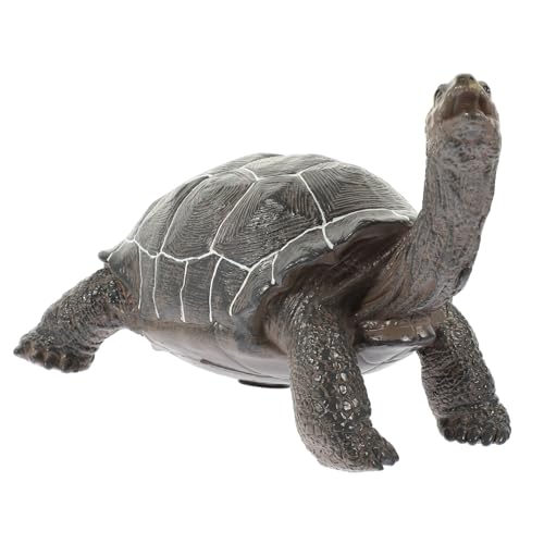 Supvox Simulationsschildkrötenmodell Aus Weichem Realistisches Schildkrötenornament Für Kinderzimmerdekoration Lernspielzeug Für Tierwissen Sicher Und Kindgerecht Supvox Simulationsschildkrötenmodell Aus Weichem Realistisches Schildkrötenornament Für Kinderzimmerdekoration Lernspielzeug Für Tierwissen Sicher Und Kindgerecht von Supvox