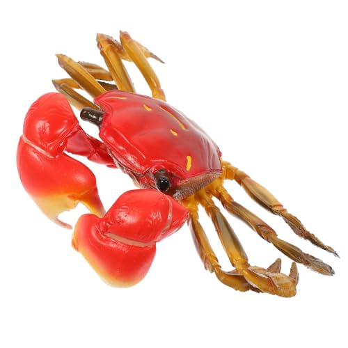 Supvox Simuliertes Krabbenmodell Spielset Lebensechte Meerestier Nachbildung Pädagogisches Lernspielzeug Fördert Kreativität Feinmotorik Ab Jahren Supvox Simuliertes Krabbenmodell Spielset Lebensechte Meerestier Nachbildung Pädagogisches Lernspielzeug Fördert Kreativität Feinmotorik Ab Jahren von Supvox