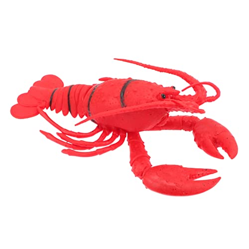 Supvox Simuliertes Meereslebewesen Modell Realistische Krebs und Hummer Figur Pädagogisches Aquarium Deko für Naturgetreu Langlebig für Restaurant und Zuhause von Supvox