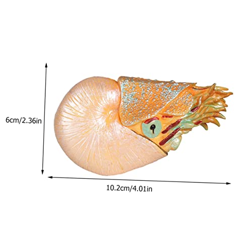 Supvox Simuliertes Nautilus Modell Kunststoff Meeres Tier Figur Ornamente Realistische Tiernachbildung Pädagogisches Aquarium Dekoration von Supvox
