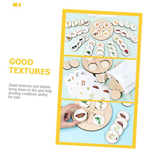 Supvox Tierfiguren Lebenszyklus Modell mit Holztablett Pädagogisches Tierwachstum für Biologisches Lernspielzeug zur Naturerforschung und Eltern Junge Mädchen interaktion von Supvox