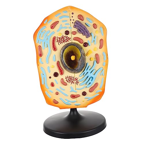 Supvox Tierisches Zellmodell für Biologieunterricht Anatomisches Tierzellanatomie Modell aus Anschauliches Lehrmittel zur Demonstration Studium Tierischer Supvox Tierisches Zellmodell für Biologieunterricht Anatomisches Tierzellanatomie Modell aus Anschauliches Lehrmittel zur Demonstration Studium Tierischer von Supvox