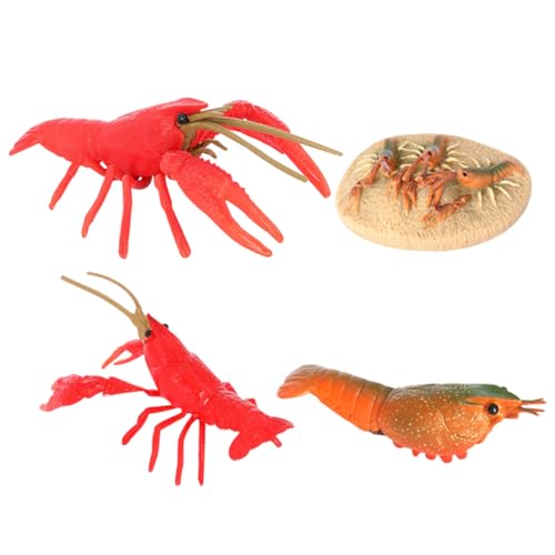 Supvox Vivid Crayfish Life Cycle Model aus Hochwertigem Kunststoff Realistische Lobsterling Figuren Pädagogisches Tierwachstumsspielzeug für Naturerkenntnis und Biologischem Lernen von Supvox