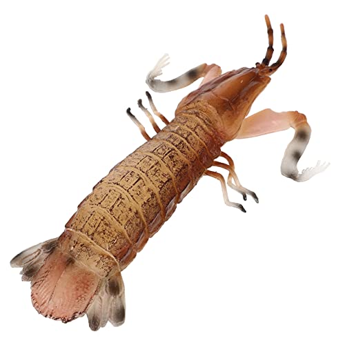 Supvox Vivid Verschleißfestes Tierspielzeug Realistisches Mantis Shrimp Modell Pädagogisch Wertvolles Langlebiges Sensorisches Kinderspielzeug Geeignet als für Kinderzimmerdekoration Supvox Vivid Verschleißfestes Tierspielzeug Realistisches Mantis Shrimp Modell Pädagogisch Wertvolles Langlebiges Sensorisches Kinderspielzeug Geeignet als für Kinderzimmerdekoration von Supvox