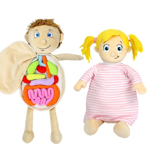 Surakey Modell Anatomie Puppe 3D Menschliche Körper Organe Plüschpuppe Früherziehung Lernspielzeug Mehrfarbiges Stofftier Montessori Lernpuppe Vorschul Kinder Abnehmbare Puzzle-Spielzeug ab 2 Jahren Surakey Modell Anatomie Puppe 3D Menschliche Körper Organe Plüschpuppe Früherziehung Lernspielzeug Mehrfarbiges Stofftier Montessori Lernpuppe Vorschul Kinder Abnehmbare Puzzle-Spielzeug ab 2 Jahren von Surakey