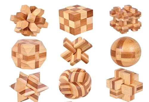 Surplex 12 Stück Premium 3D Holzknobelspiele Set, IQ Puzzle & Logikspiele für Erwachsene & Kinder, Geduldspiel, Brainteaser, Geschicklichkeitsspiel, Pädagogisches Holzspielzeug von Surplex