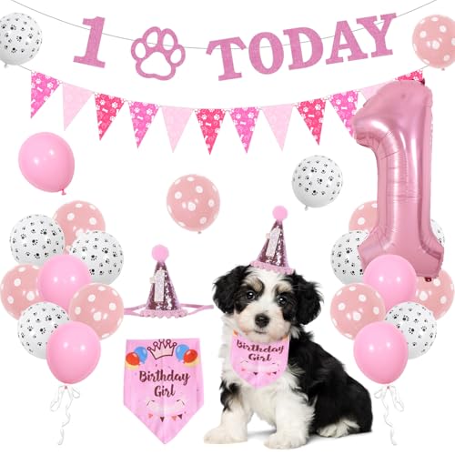 Sursurprise Hunde-Dekoration zum 1. Geburtstag, Bandana-Hut-Set mit 1 Dreiecks-Wimpelkette, Dreieckschal, Ballon Nummer 1, 1 Jahr alter Hund, Geburtstagsparty-Zubehör Sursurprise Hunde-Dekoration zum 1. Geburtstag, Bandana-Hut-Set mit 1 Dreiecks-Wimpelkette, Dreieckschal, Ballon Nummer 1, 1 Jahr alter Hund, Geburtstagsparty-Zubehör von Sursurprise