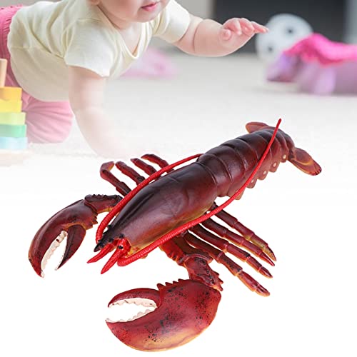 Sustvita Outast Plastic Lobster Decor, lebensecht Nicht virulentes Modell für die Dekoration zu Hause und den Bildungsgebrauch (23 cm) von SustVita