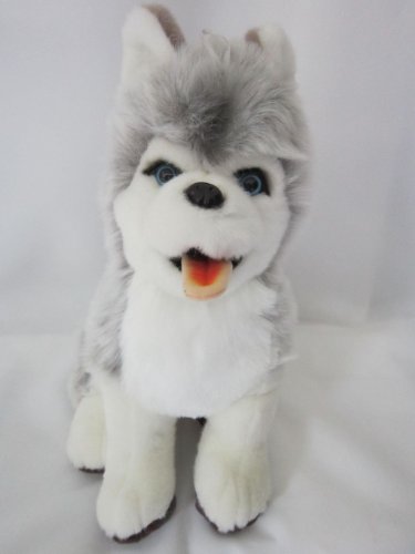 Sweety Toys 0661 Husky Plüschhuskie supersüss ca. 50 cm Hund softweich von Sweety Toys