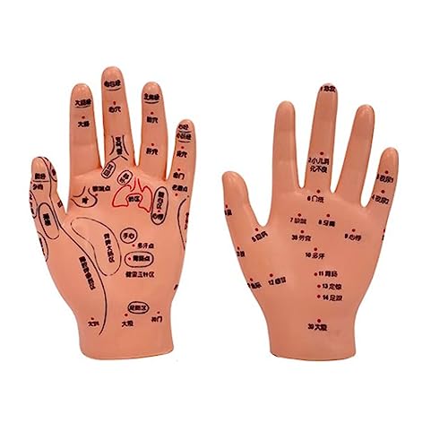 Ohr & Hand & Fuß Akupunkturpunkte Modell Chinesische Medizin Akupunkturmodell Handohr-Fußmassage Akupunktur Punktmodell von Swetopq