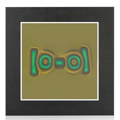 Swiixxer Magnetischer Betrachtungsfilm, 4 X 4 Magnetfeldbetrachter für Wissenschaftliche Projekte, Wiederverwendbar und Automatisch Wiederherstellbar von Swiixxer