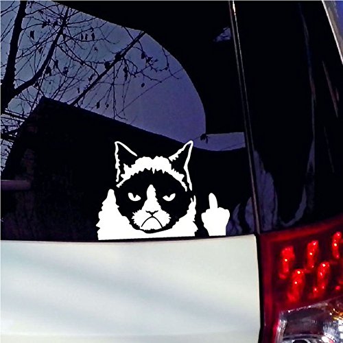 Autoaufkleber Katze 2 Stücke, Reflektierende Katzen Aufkleber Auto Lustige Autoaufkleber für Wasserdichte Abdeckung Kratzer Schwarz und Weiß von SwirlColor