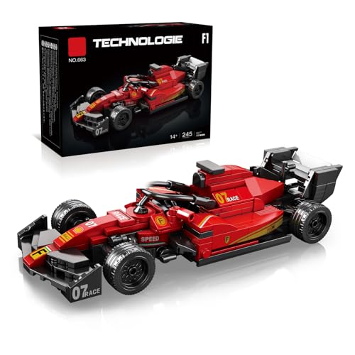 SymGrpu Technik Rennwagen Bausteine, Sportauto Klemmbausteine Spielzeug, Speed Champion Sammlerfahrzeug Modell Geschenk für Erwachsene Kinder, 245 Stück von SymGrpu
