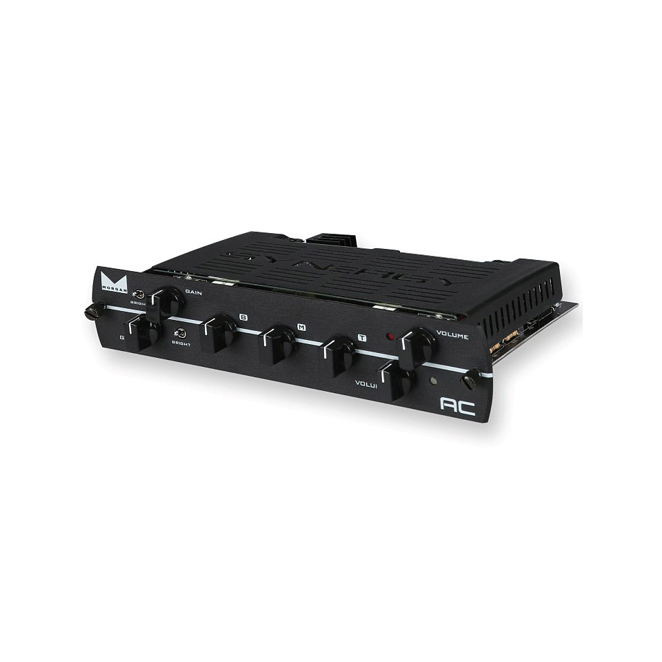 Synergy Morgan AC Modul Preamp E-Gitarre Synergy Morgan AC Modul Preamp E-Gitarre von Synergy