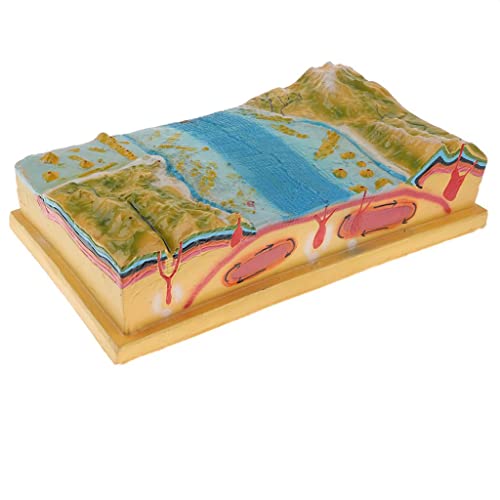 T TOOYFUL 3D Wissenschaftliche Plattentektonik Modell - Geographie Unterrichten Lehrmittel - 44 x 24 x 12 cm T TOOYFUL 3D Wissenschaftliche Plattentektonik Modell - Geographie Unterrichten Lehrmittel - 44 x 24 x 12 cm von T TOOYFUL