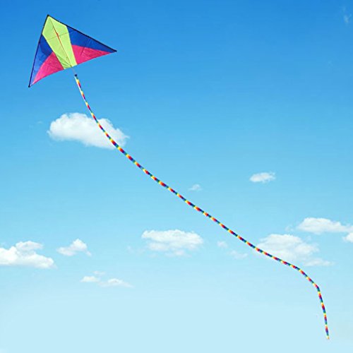 T TOOYFUL Drachen Zubehör - Schlauch aus Nylon - Länge: 15m - # 2 T TOOYFUL Drachen Zubehör - Schlauch aus Nylon - Länge: 15m - # 2 von T TOOYFUL
