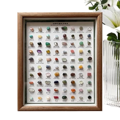 Rocks and Minerals - 80X Natural Mineral Exemplare Collection | Mineral-Kit | Heimdekoration, klassisches raues Kristall-Set im Holzrahmen für Damen und Herren Rocks and Minerals - 80X Natural Mineral Exemplare Collection | Mineral-Kit | Heimdekoration, klassisches raues Kristall-Set im Holzrahmen für Damen und Herren von TABSIRAH