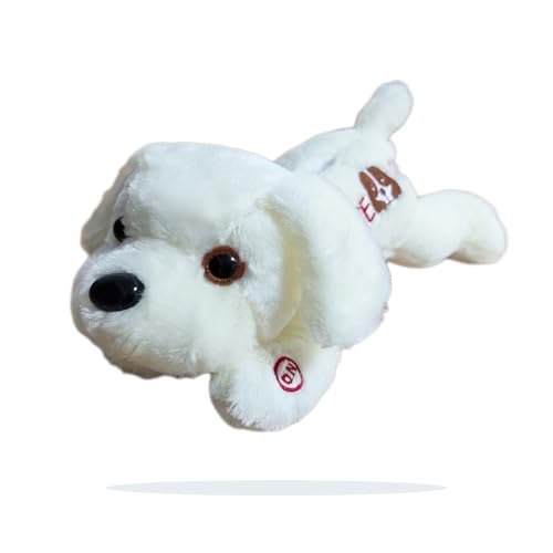 TAOZHUGONG LED Plüsch Hund Kuschelhund Plüschtier, 30cm Luminous Hündchen Hund Plüsch Kuscheltier, Kissen Spielzeug Nachtlicht Kinderzimmer Kinderzimmer Dekokissen Geburtstagsgeschenk (B) von TAOZHUGONG