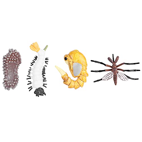 TARSHYRY Ameisenwachstumszyklus, Lebenszyklus -Figurine Tierwachstumszyklus Biologischer Modell Lebenszyklus Modell Wachstum Modell Spielzeug Bildungslebenszyklus (M4184 Mücke (31,6 g)) von TARSHYRY