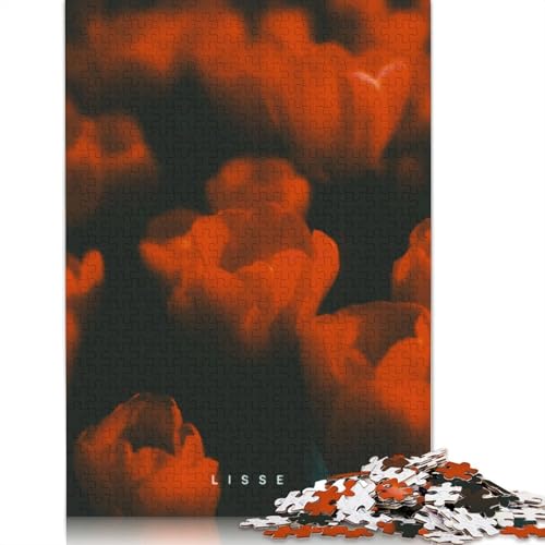 1000-teiliges Lisse für Erwachsene, schwierige Holzpuzzles, Puzzles für Erwachsene, Lernspiel, Herausforderungsspielzeug, 1000 Stück (75 x 50 cm) von TBDUEPS