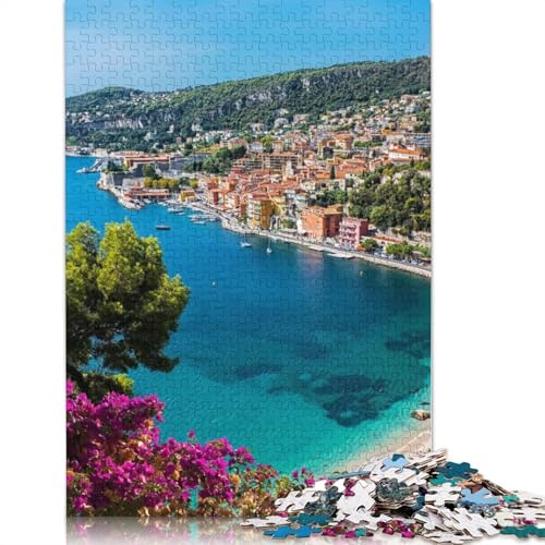 1000-teiliges Sommer-in-Frankreich-Poster-Puzzle für Erwachsene, Puzzle für Erwachsene und Jugendliche, Lernspiel, 1000 Teile (75 x 50 cm) von TBDUEPS