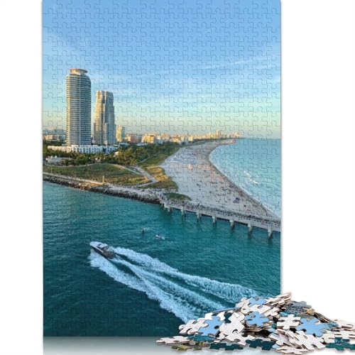 Miami Puzzles 1000 Teile Holzpuzzles Puzzle für Erwachsene und Jugendliche für Erwachsene und Jugendliche ab 12 Jahren 1000 Teile (75 x 50 cm) von TBDUEPS