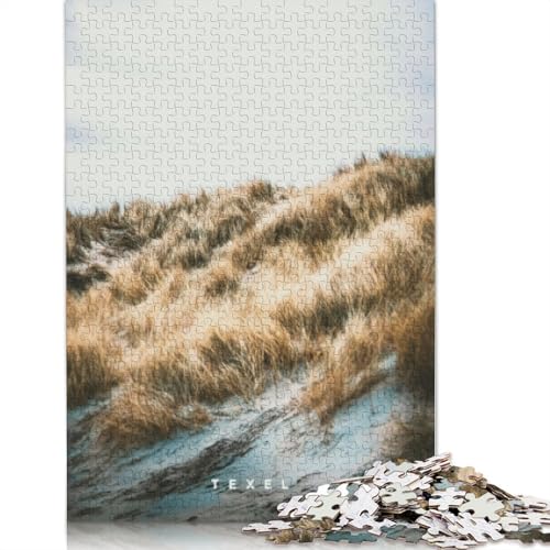 Texel-Puzzle mit 1000 Teilen für Erwachsene, Lernspiele für Zuhause, DIY-Spielzeug, 1000 Stück (75 x 50 cm) von TBDUEPS
