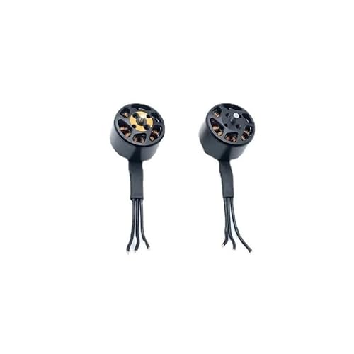 TBXwsofl CW CCW Ersatzarm Motor Kompatibel mit kompatible Drohnen Avata Reparaturteile Ersatzarme Motor Drohnenzubehör(1CW AND1CCW) von TBXwsofl