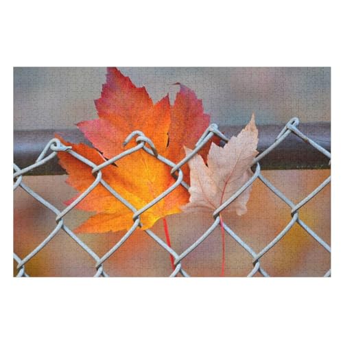 Fence, Maple Leaves,，Wohnkultur Geburtstag ，Challenging Games Moderne Lernspiel Stress Relief ，1000 StüCk，，Lernspielzeug FüR Kinder 70x50Papier von TCzRZ