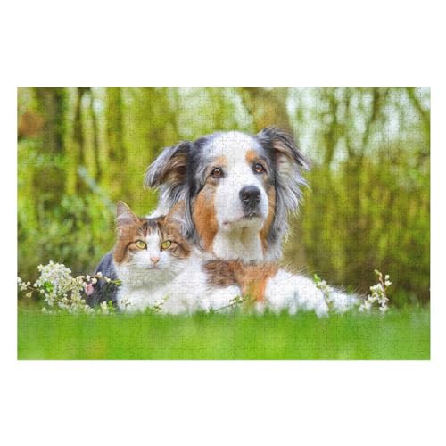 Fluffy Dog and cat Friends, ，Wohnkultur Geburtstag ，Challenging Games Moderne Lernspiel Stress Relief ，1000 StüCk，，Lernspielzeug FüR Kinder 70x50Papier von TCzRZ