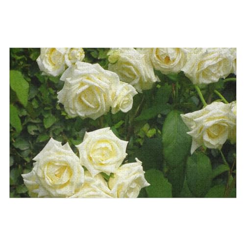 Garden Flowers White Roses, ，Klassische Puzzle für Erwachsene Teenager Freizeit Spaß Spiel Spielzeug Geeignet，，Lernspielzeug FüR Kinder 52x38Papier von TCzRZ