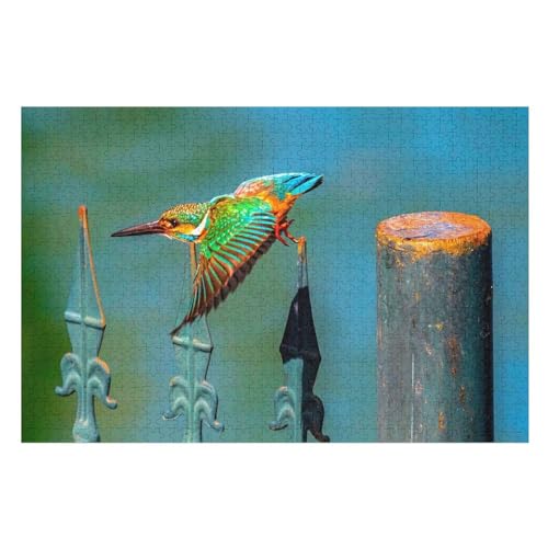 Kingfisher Long Beak Flight, Fence，für Familie Freunde Dekorativ，1000 StüCk，，Lernspielzeug FüR Kinder 38x26Papier von TCzRZ