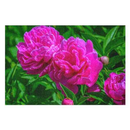 Some pink Peonies Flowers, ，Klassische Puzzle für Erwachsene Teenager Freizeit Spaß Spiel Spielzeug Geeignet，，Lernspielzeug FüR Kinder 38x26Papier von TCzRZ