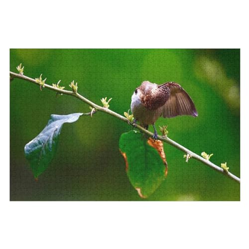 Sparrow Feather Bird, Tree Branch, ，für Familie Freunde Dekorativ，1000 StüCk，，Lernspielzeug FüR Kinder 38x26Papier von TCzRZ