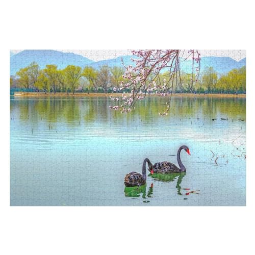 Two Black Swans, Pond, pink Plum Flowers Bloom,，Klassische Puzzle für Erwachsene Teenager Freizeit Spaß Spiel Spielzeug Geeignet，，Lernspielzeug FüR Kinder 52x38Papier von TCzRZ