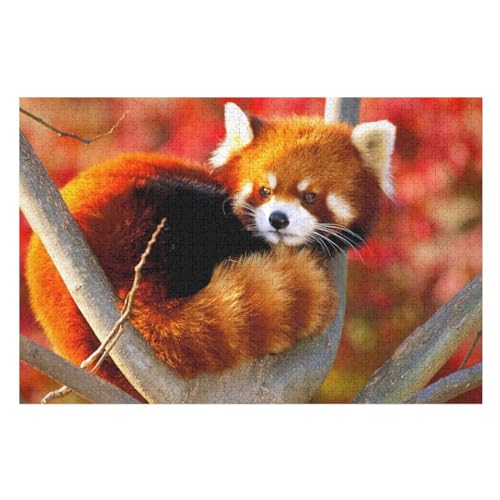 Zibetkatze,für Familie Freunde Dekorativ,1000 StüCk,,Lernspielzeug FüR Kinder 70x50Papier Zibetkatze,für Familie Freunde Dekorativ,1000 StüCk,,Lernspielzeug FüR Kinder 70x50Papier von TCzRZ
