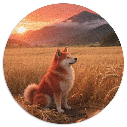 AkitaJigsaw Puzzle 1000 Piece for Adults Round niedlich HaustierCreative Challenging Puzzle Toy1000pcs (67.5x67.5cm) von TDSNKAVHB